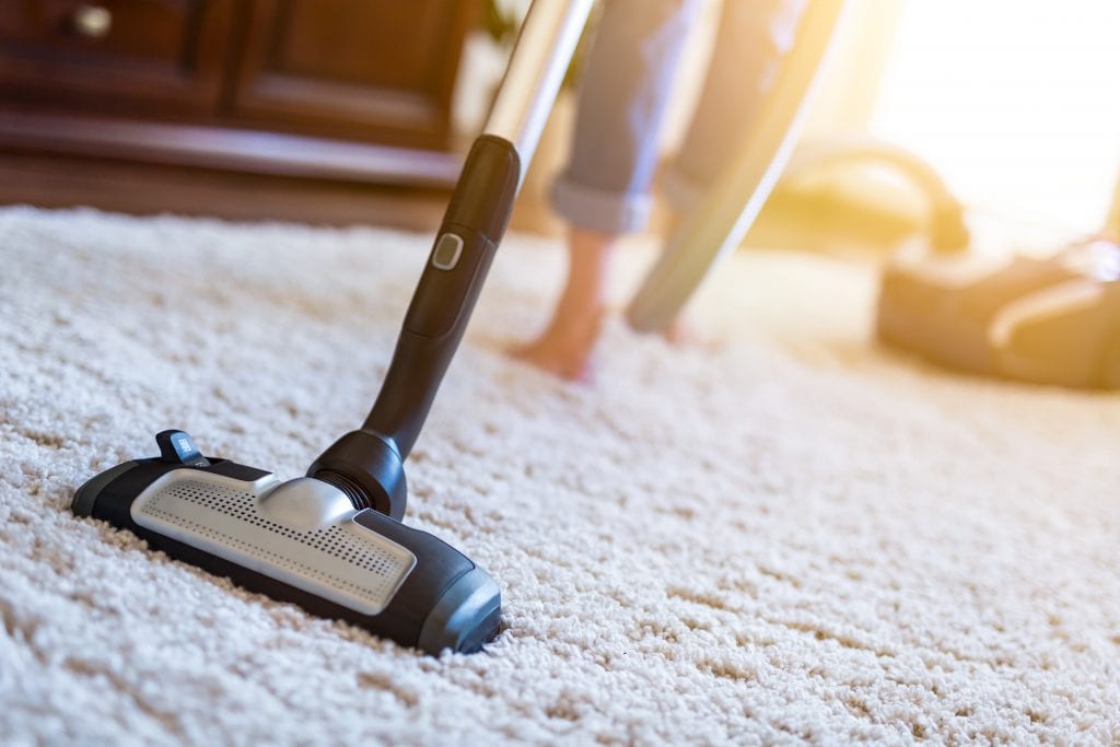 Carpet Cleaning vs. DIY: Why Hiring a Professional is the Better Choice hero image