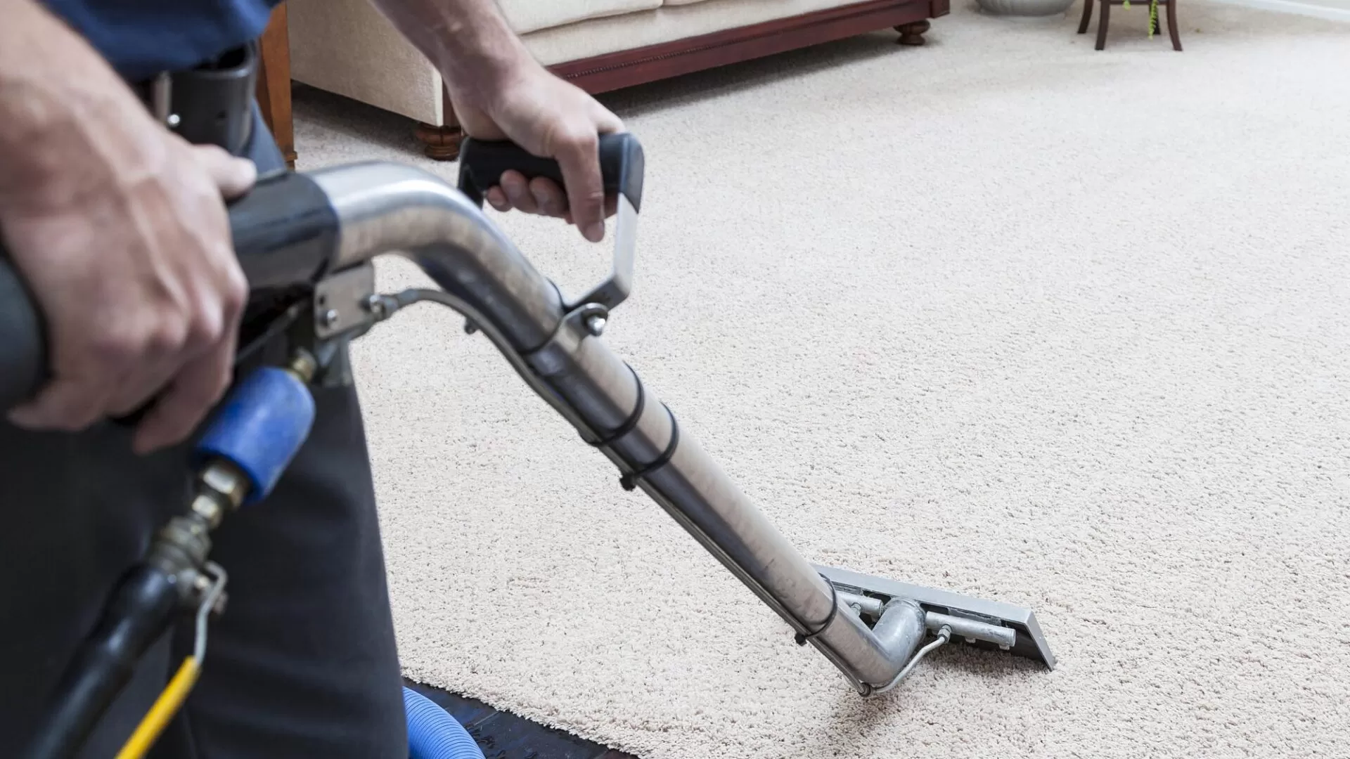 Experience the Difference with Our Premium Carpet Cleaning Services in West Linn hero image