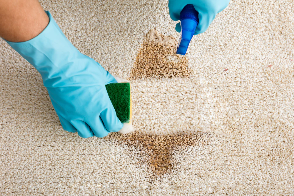 Don’t Let Stains and Odors Ruin Your Carpets - Call Us Today! hero image