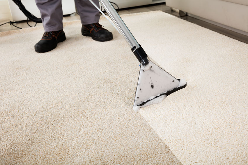 Why Investing in Professional Carpet Cleaning Can Save You Money in the Long Run hero image