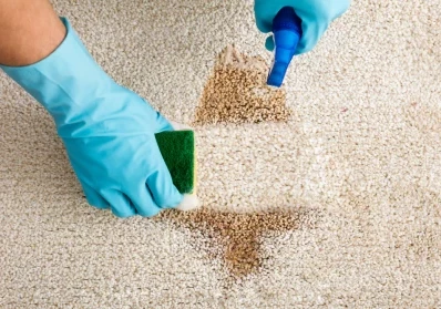 Don’t Let Stains and Odors Ruin Your Carpets - Call Us Today! blog image