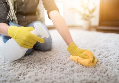 The Importance of Eco-Friendly Carpet Cleaning for Your Home blog image