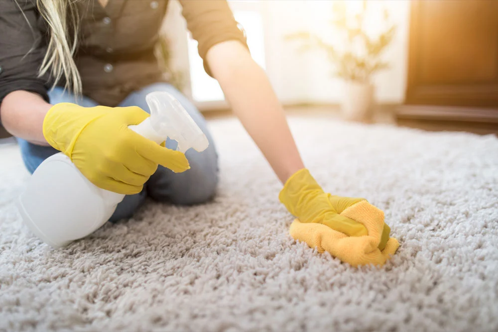 The Importance of Eco-Friendly Carpet Cleaning for Your Home hero image
